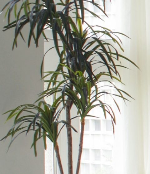 <br />
<b>Warning</b>: Use of undefined constant alt - assumed 'alt' (this will throw an Error in a future version of PHP) in <b>/home/users/2/feel1/web/gegr.jp/wp/wp-content/themes/falso/front-page.php</b> on line <b>182</b><br />
003